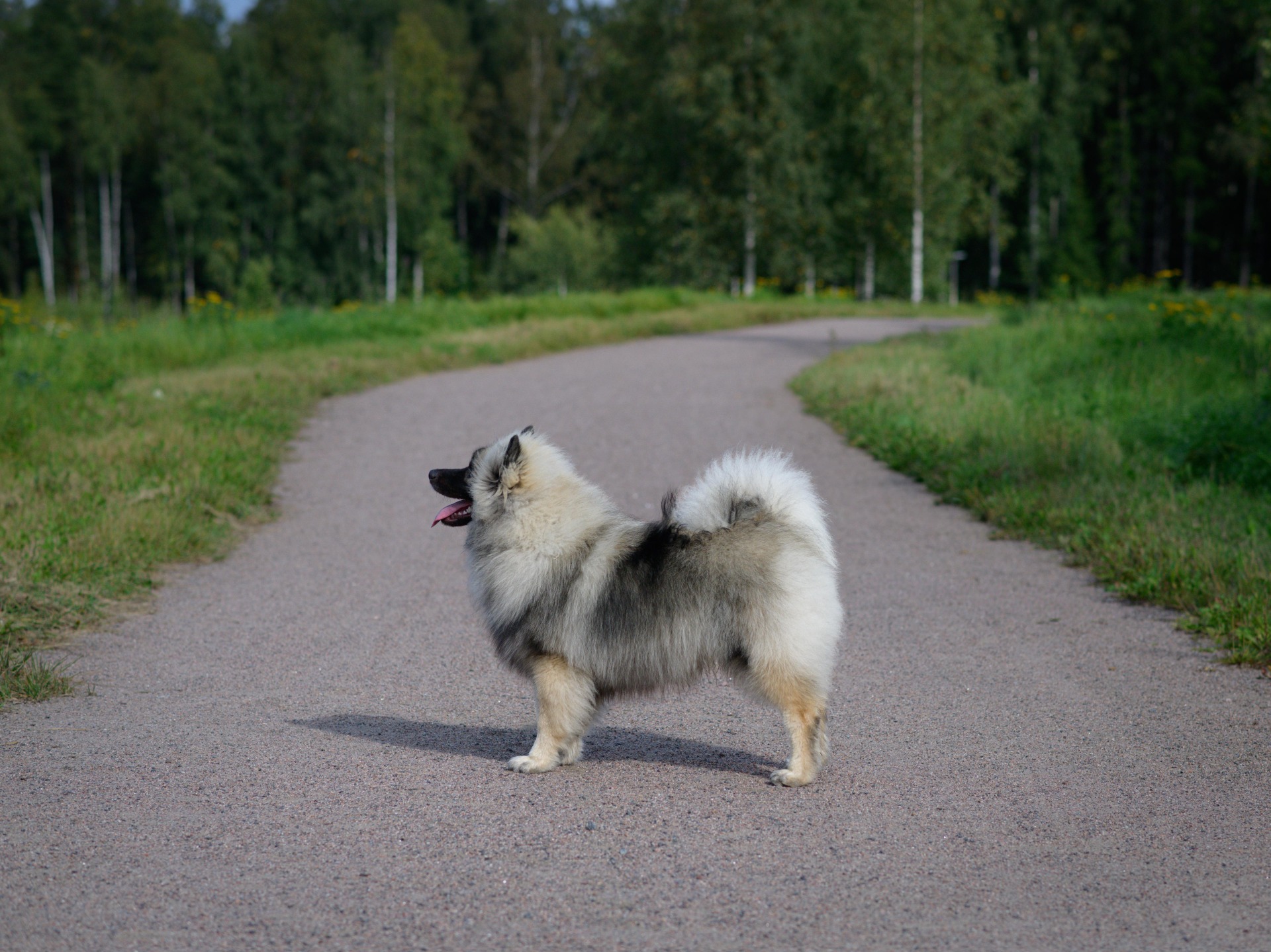 8kk ikäisenä