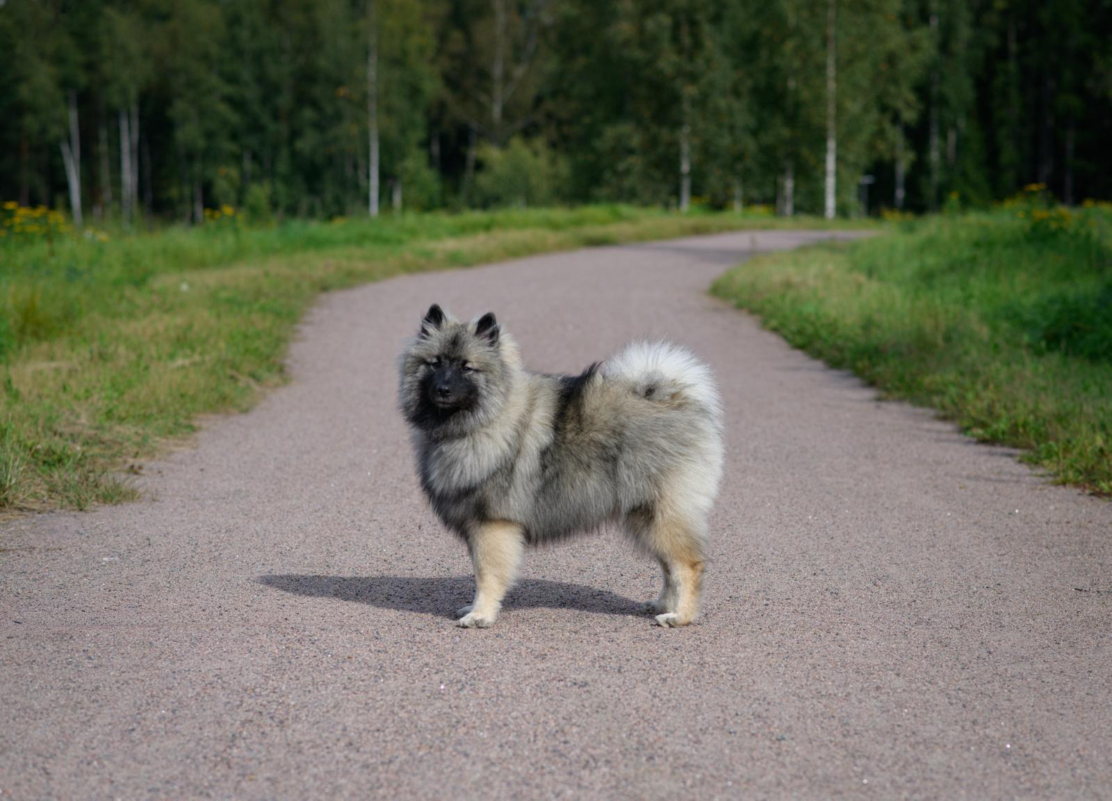 8kk ikäisenä
